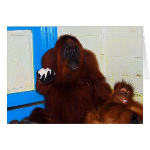 Cartão Mãe e bebê do orangotango de Leakey do acampamen