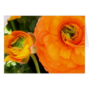 Cartão Mãe e criança