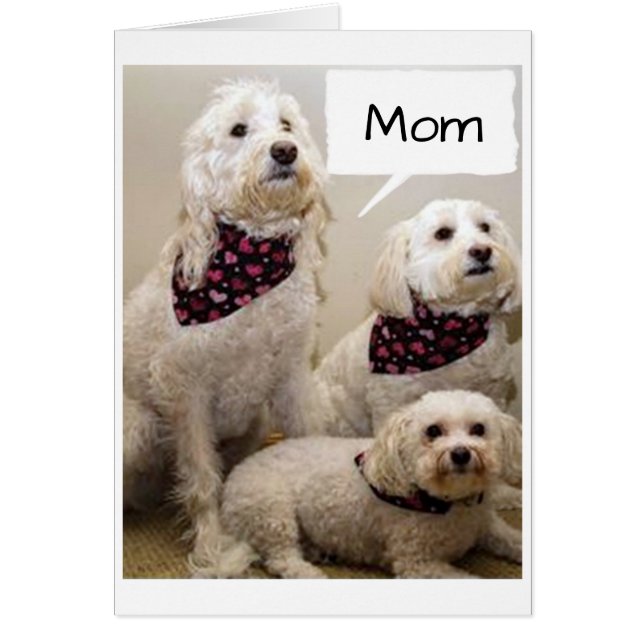 CARTÃO MÃE É DESEJADA **FELIZ ANIVERSÁRIO** POR 3 PUPS (Frente)