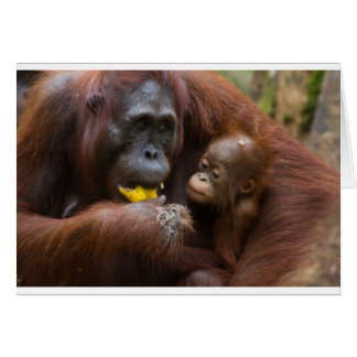 Cartão Mãe e filho