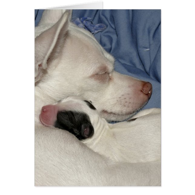 Cartão Mãe e Filho (Frente)