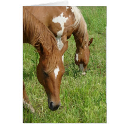 Cartão Mãe e Filho, Cavalos Grazando