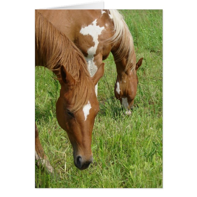 Cartão Mãe e Filho, Cavalos Grazando (Frente)