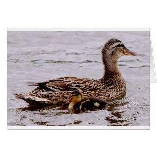 Cartão mãe e patinagem