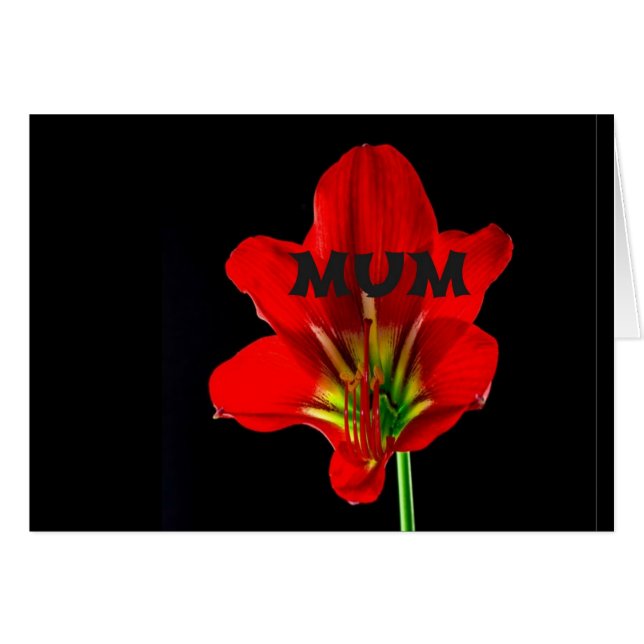 Cartão Mãe Floral Vermelha (Frente Horizontal)