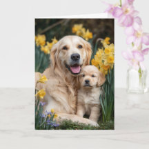Mãe Golden Retriever Dia das Mães Amor