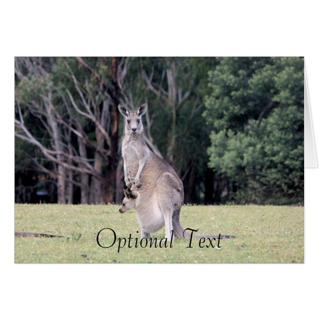 Cartão Mãe Kangaroo com Bebê Joey em sua bolsa (Frente Horizontal)