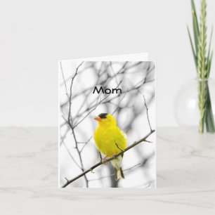 CARTÃO "MÃE" NO SEU ANIVERSÁRIO TWEETING FELIZ ANIVERSÁRI