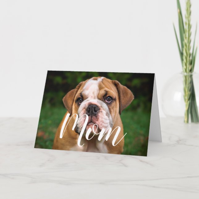Cartão Mãe Pet Foto Engraçada Dia de as mães Cachorro Bon (Frente)