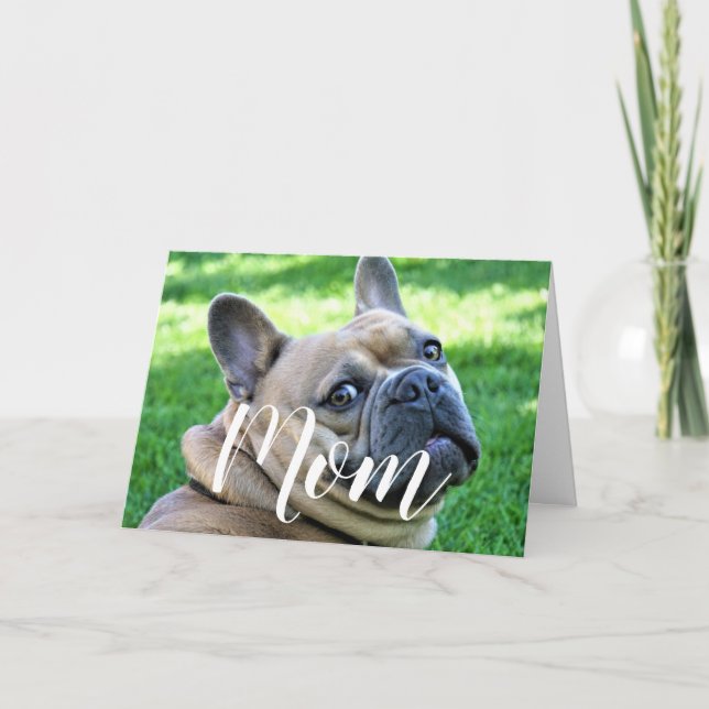 Cartão Mãe Pet Foto Engraçada Dia de as mães Cachorro Bon (Frente)