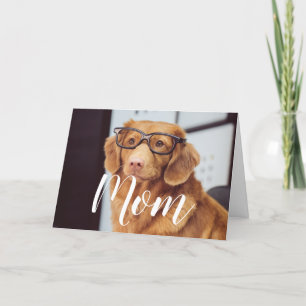 Cartão Mãe Pet Foto Feliz dia de as mães Bonito Cachorr