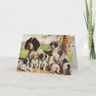 Cartão Mãe Springer spaniel e filhotes