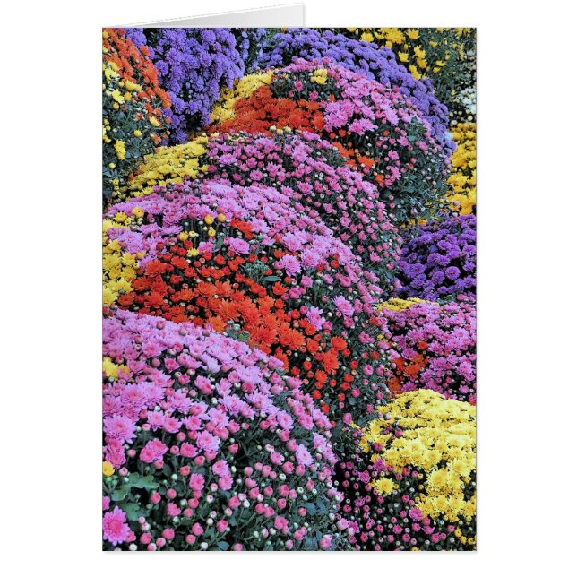 Cartão Mães (Frente)