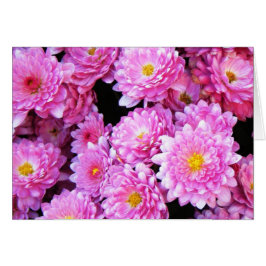 Cartão "Mães Bonito"