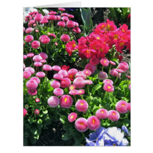 Cartão Mães de jardim rosa grandes