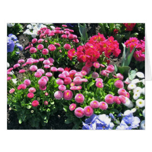 Cartão Mães de jardim rosa grandes