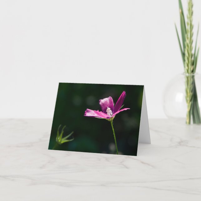 Cartão Magenta Wildflower Notecard (Frente)