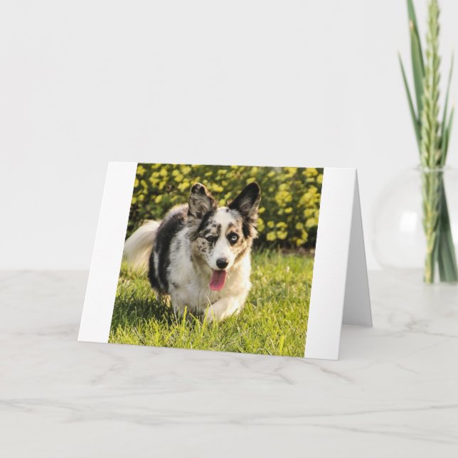 Cartão Maggie Mae (Frente)