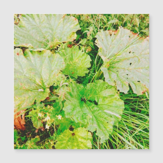 Cartão Magnético (Frente)