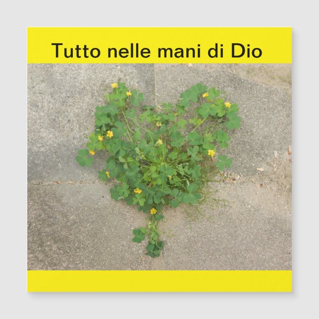 Cartão Magnético (Frente)