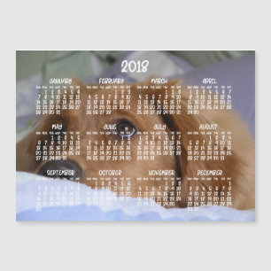 Cartão Magnético 2018 para o Calendário de Retriev
