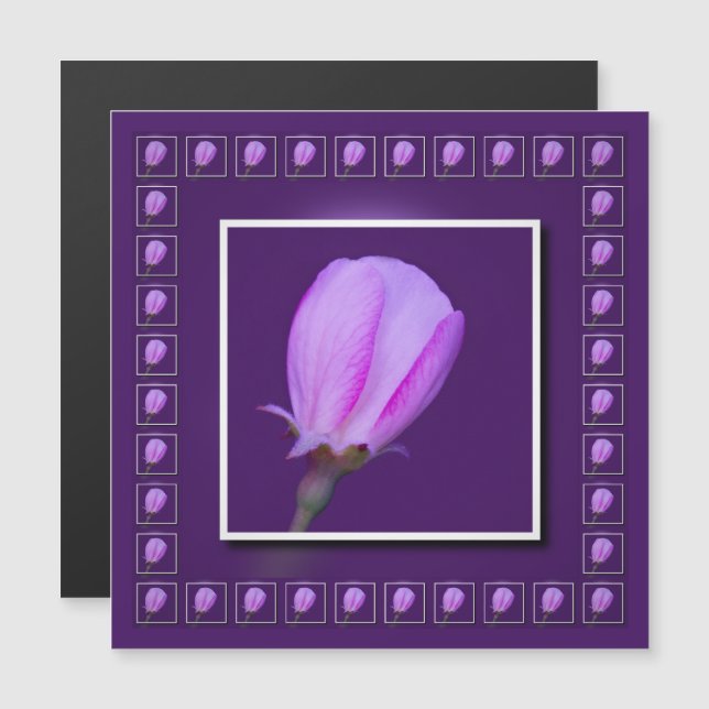 Cartão magnético cor-de-rosa e Primavera púrpura (Frente/Verso)