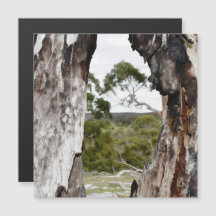 Cartão magnético da janela da natureza