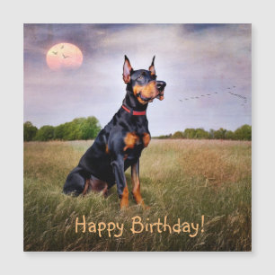 Cartão Magnético de Aniversário Doberman Pinscher