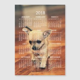 Cartão Magnético de Foto Calendário Chihuahua 2018