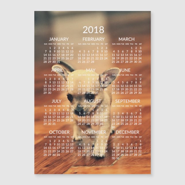 Cartão Magnético de Foto Calendário Chihuahua 2018 (Frente)