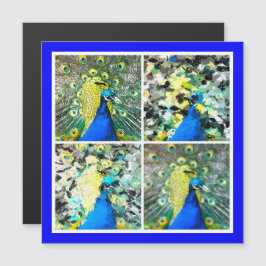 Cartão magnético Peacock Art