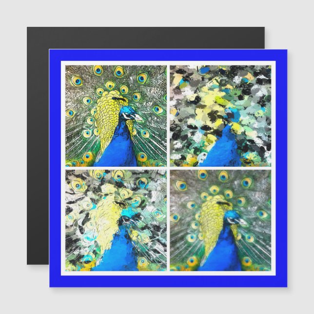Cartão magnético Peacock Art (Frente/Verso)