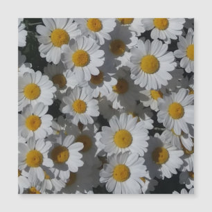 Cartão Magnético White Daisies