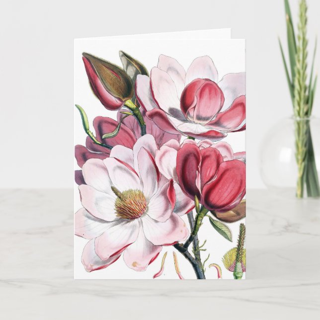 Cartão Magnolia (Frente)