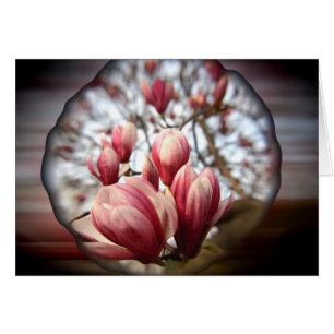 Cartão Magnolia