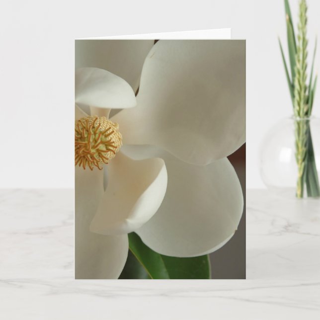 Cartão magnolia 2 (Frente)