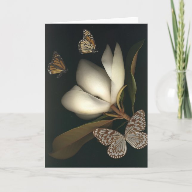 Cartão magnolia and butterflies1 note card (Frente)