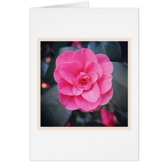 Cartão Magnolia Blossom (Frente)