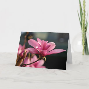 Cartão Magnolia Blossom Notecard