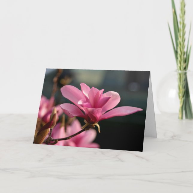 Cartão Magnolia Blossom Notecard (Frente)