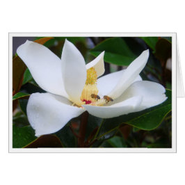 Cartão Magnolia e Abelhas de mel