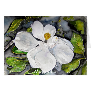 Cartão magnólia_flor_pintura, Magnolia