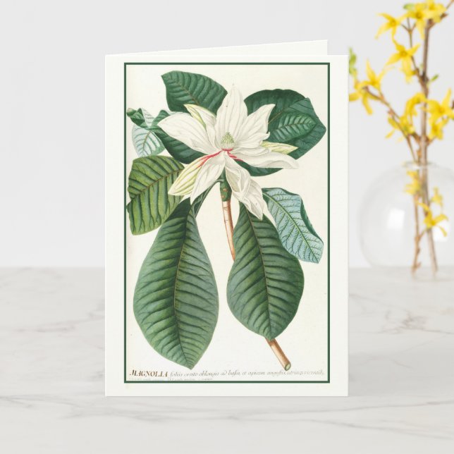 Cartão Magnolia, Ilustração Floral Vintage, (Flor Amarela)