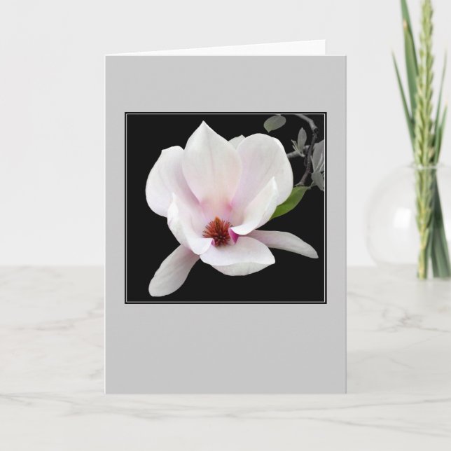 Cartão 'Magnolia in Bloom' Blank Note Card (Frente)