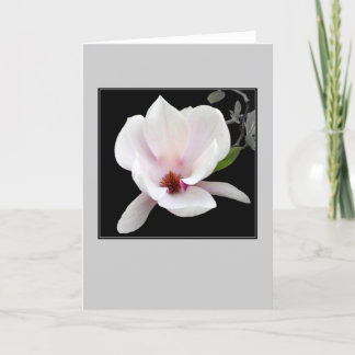 Cartão 'Magnolia in Bloom' Blank Note Card