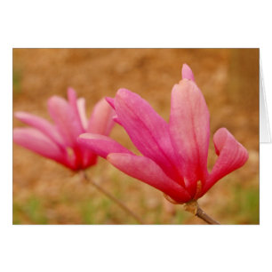 Cartão Magnolia Japonesa