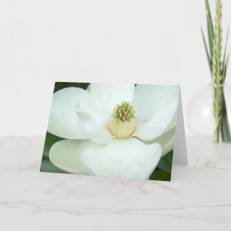 Cartão Magnolia magnified