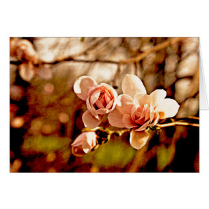 Cartão Magnolia Mama a Rosa