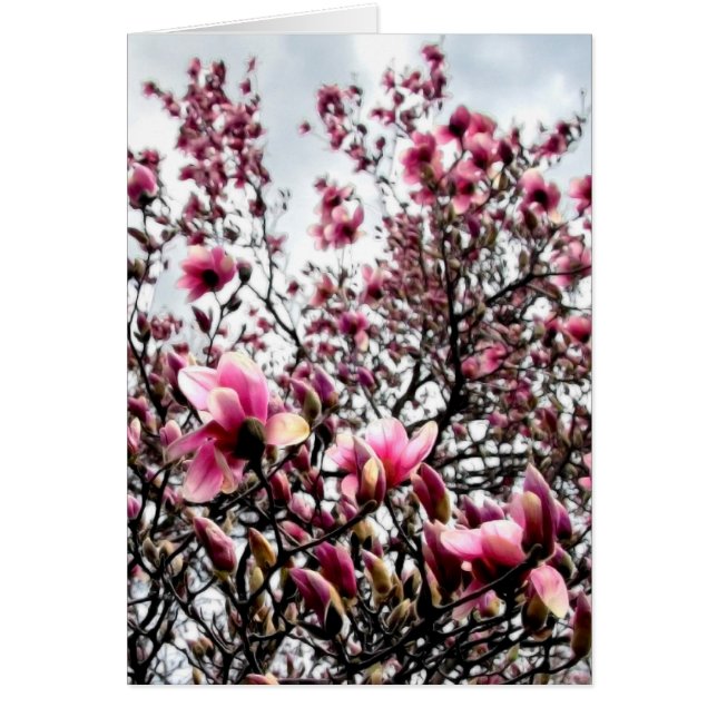 Cartão Magnolia Massas (Frente)