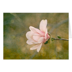 Cartão Magnolia Queen